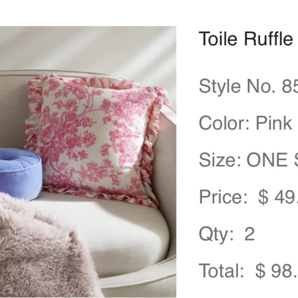 Pink Toile Ruffle Throw Pillows (set of 2)